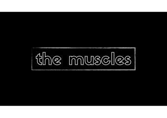 the muscles  p  o  w  e  r  finesse  image credit: CFCF on wikimedia commons