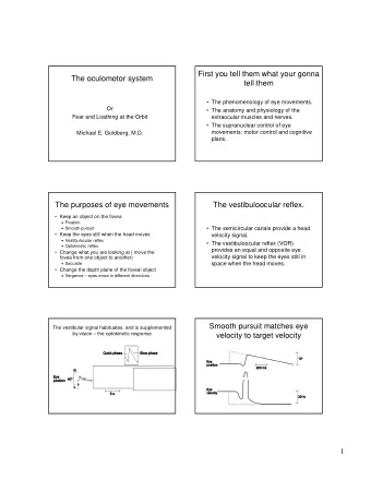 First you tell them what your gonna  The oculomotor system  tell them   The phenomenology of eye
