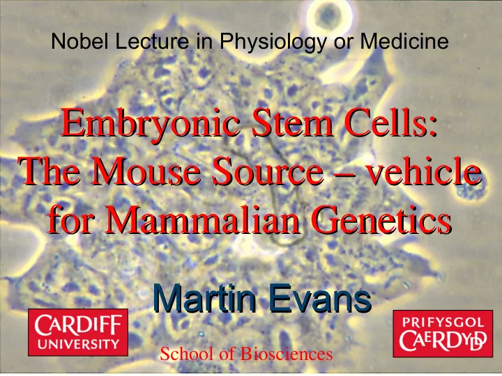 embryonic stem cells embryonic stem cells the mouse