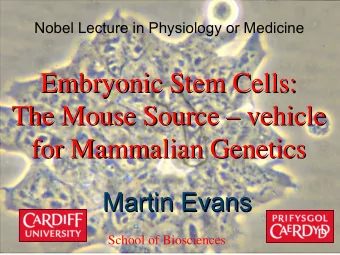 Embryonic Stem Cells:  Embryonic Stem Cells:  The Mouse Source    vehicle  vehicle  The Mouse