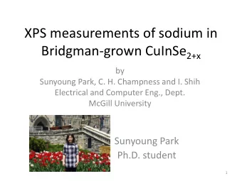 XPS measurements of sodium in Bridgman-grown CuInSe 2+x  by  Sunyoung Park, C. H. Champness and I.