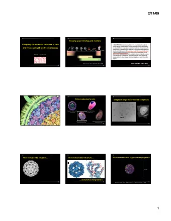 2/11/09  Imaging gaps in biology and medicine  Computing the molecular structures of cells  and
