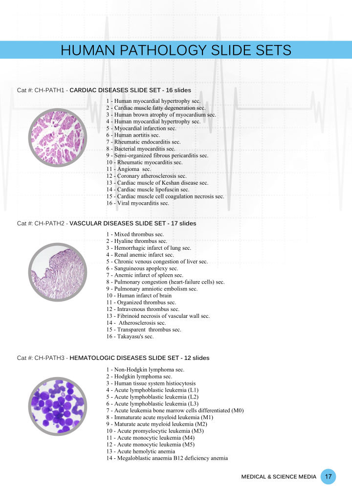 human pathology slide sets