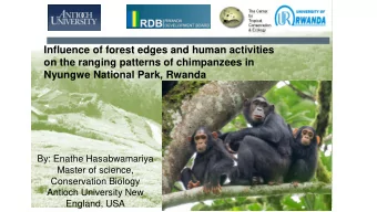 Influence of forest edges and human activities  on the ranging patterns of chimpanzees in Nyungwe