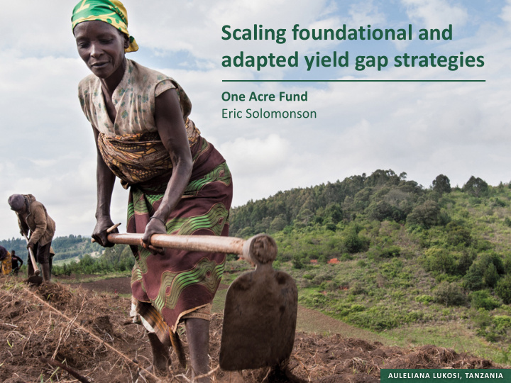 scaling foundational and adapted yield gap strategies