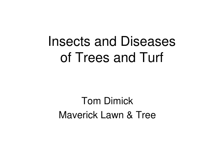 of trees and turf