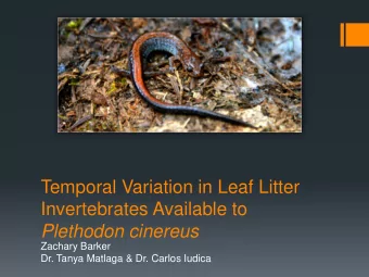 Temporal Variation in Leaf Litter  Invertebrates Available to  Plethodon cinereus  Zachary Barker