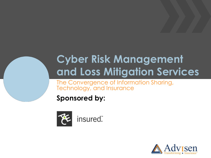 cyber risk management