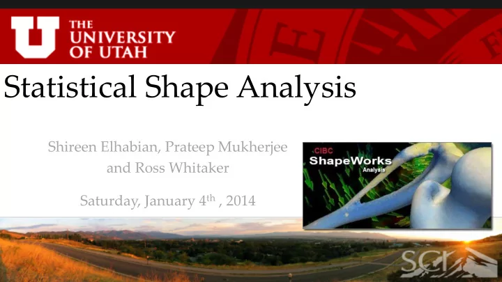 statistical shape analysis