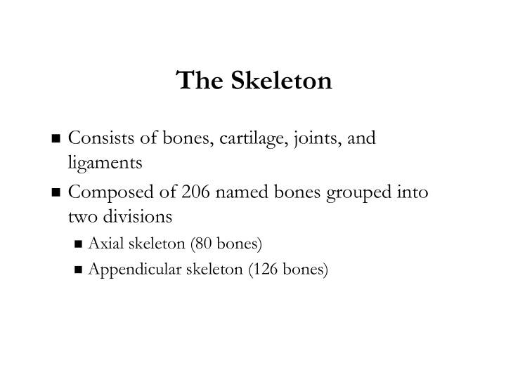 the skeleton