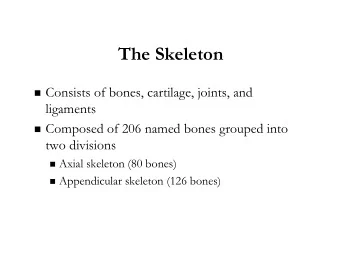 The Skeleton  Consists of bones, cartilage, joints, and  ligaments  Composed of 206 named