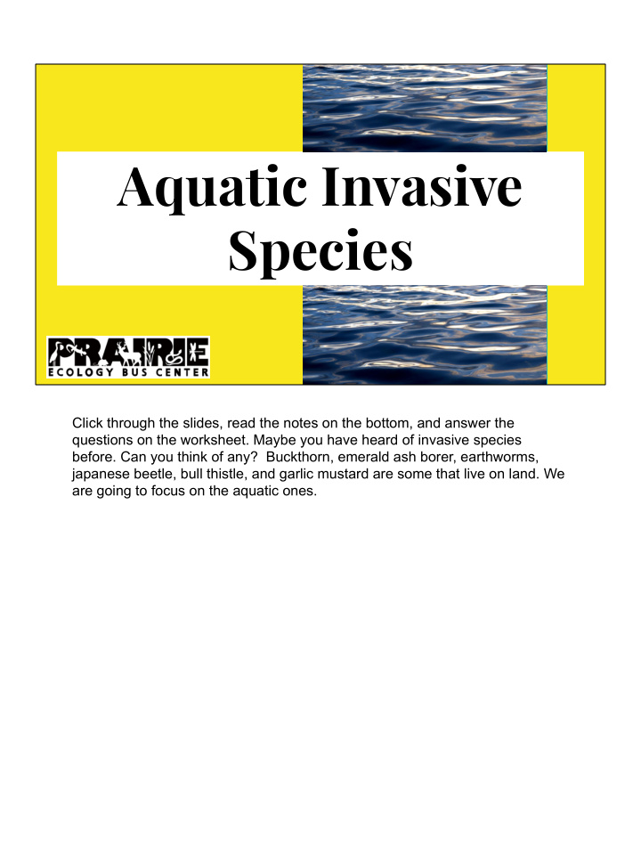 aquatic invasive species