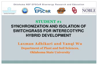 STUDENT #1  SYNCHRONIZATION AND ISOLATION OF  SWITCHGRASS FOR INTERECOTYPIC HYBRID DEVELOPMENT