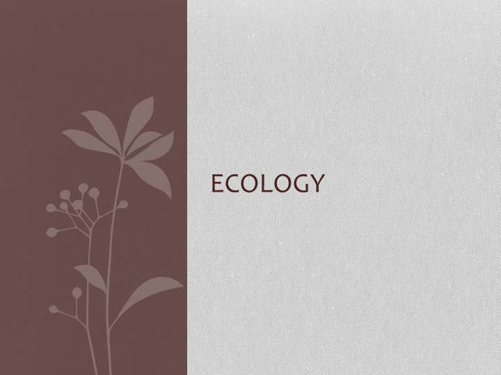 ecology ecology