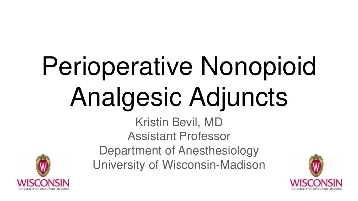 perioperative nonopioid analgesic adjuncts