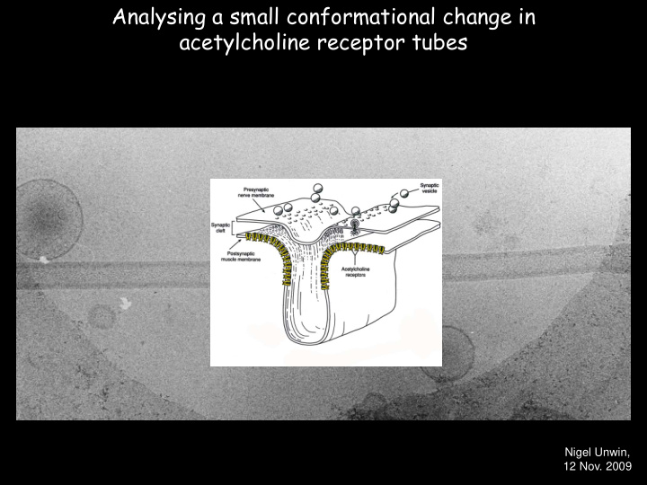 analysing a small conformational change in acetylcholine