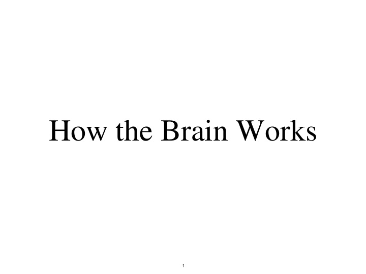 how the brain works