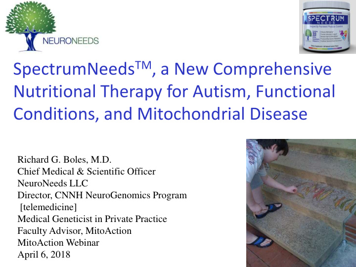nutritional therapy for autism functional