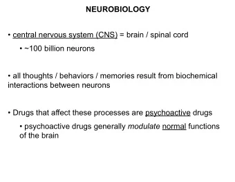NEUROBIOLOGY   central nervous system (CNS) = brain / spinal cord   ~100 billion neurons
