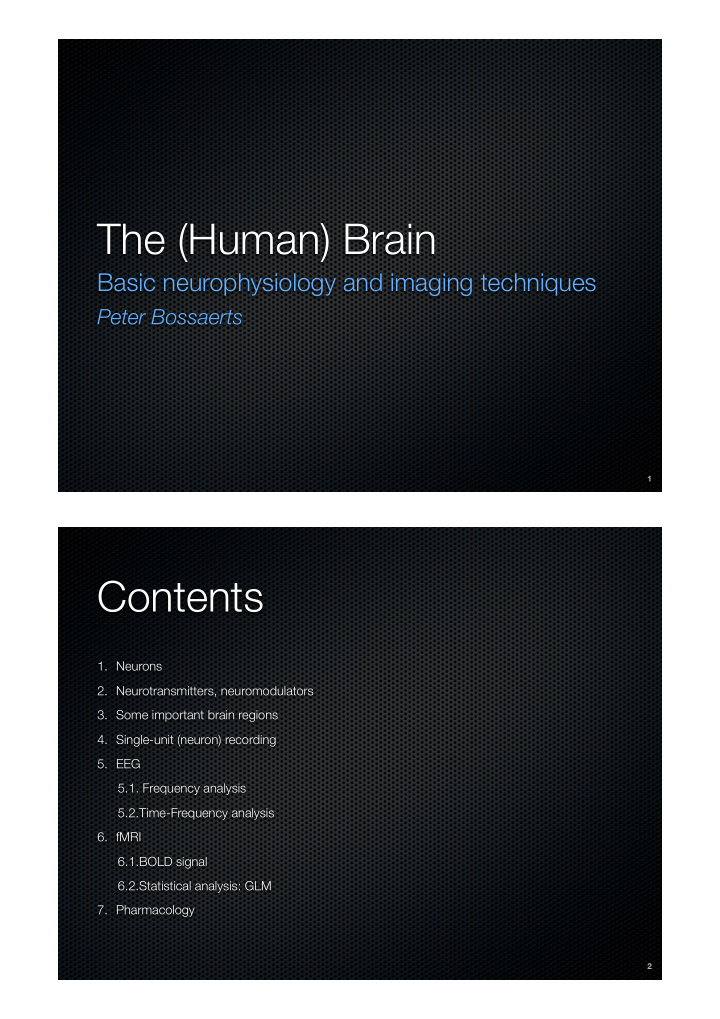 the human brain