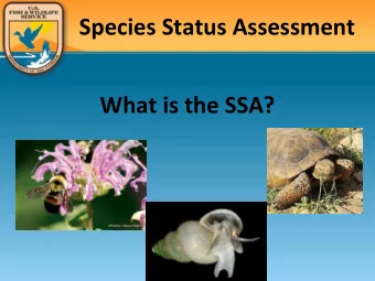 Species Status Assessment What is the SSA? Species Status Assessment BIG PICTURE Species Status