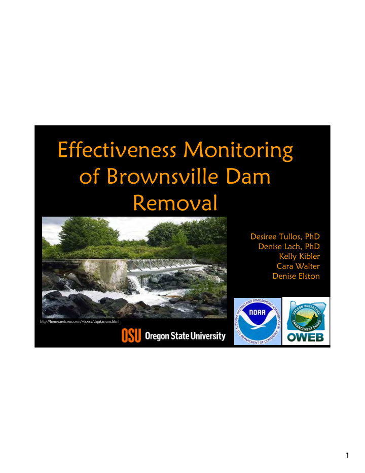 effectiveness monitoring of brownsville dam removal