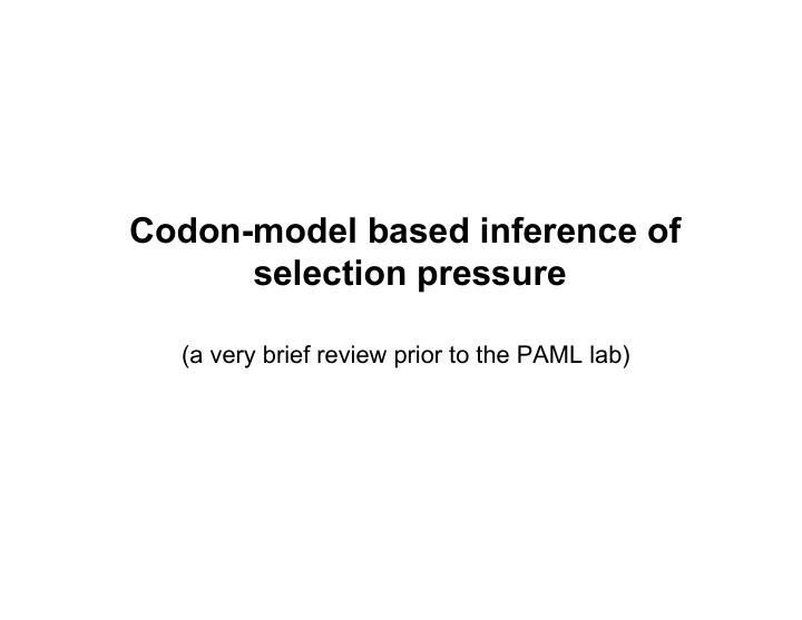 codon model based inference of selection pressure