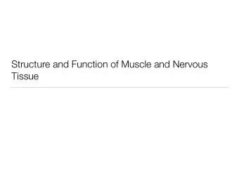 Structure and Function of Muscle and Nervous  Tissue  What well talk about  Structure and