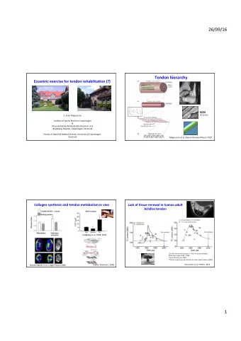 26/09/16  Tendon hierarchy  Eccentric exercise for tendon rehabilita2on (?) ECM  S. Peter Magnusson