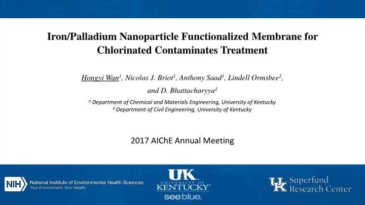 iron palladium nanoparticle functionalized membrane for