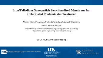 Iron/Palladium Nanoparticle Functionalized Membrane for  Chlorinated Contaminates Treatment Hongyi