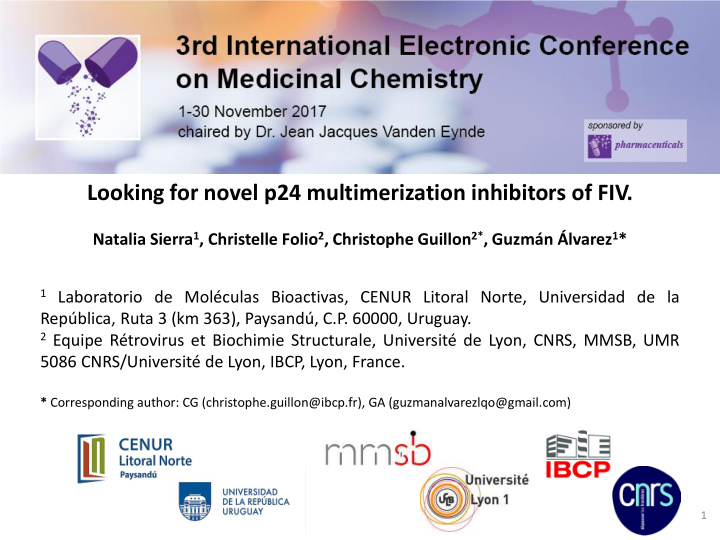 looking for novel p24 multimerization inhibitors of fiv