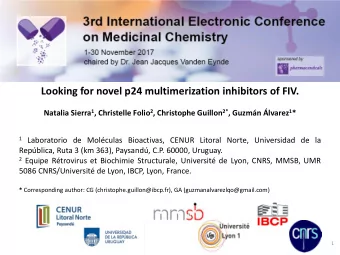 Looking for novel p24 multimerization inhibitors of FIV. Natalia Sierra 1 , Christelle Folio 2 ,