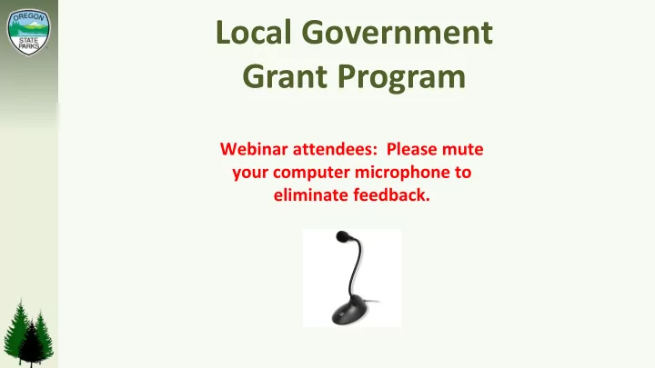 local government grant program