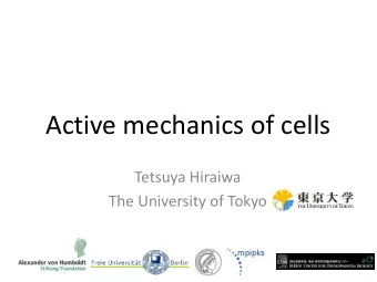 Active mechanics of cells  Tetsuya Hiraiwa  The University of Tokyo  100m  Active mechanics of