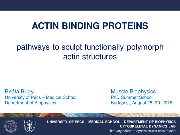 actin binding proteins