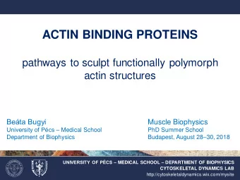 ACTIN BINDING PROTEINS  pathways to sculpt functionally polymorph  actin structures  Beta Bugyi