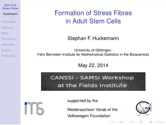 Formation of Stress Fibres  Huckemann  in Adult Stem Cells  Introduction  Digitizing  WiZer