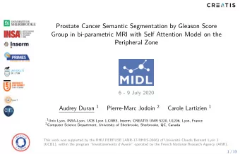 Prostate Cancer Semantic Segmentation by Gleason Score  Group in bi-parametric MRI with Self