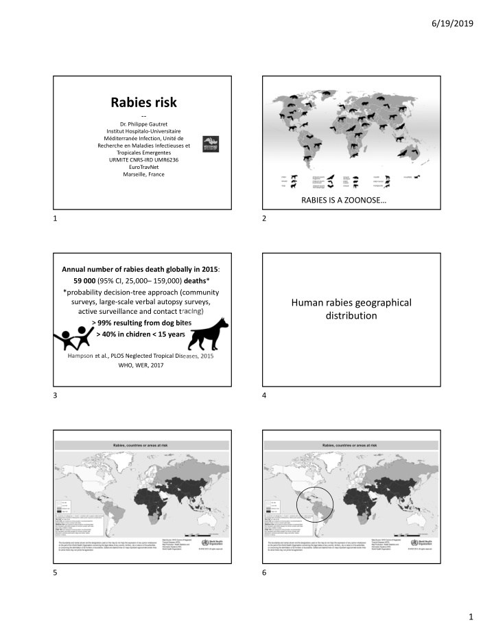 rabies risk