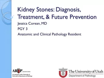 Kidney Stones: Diagnosis,  Treatment, &amp; Future Prevention  Jessica Corean, MD  PGY 3  Anatomic