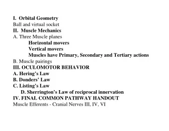 I.  Orbital Geometry  Ball and virtual socket  II.  Muscle Mechanics  A. Three Muscle planes