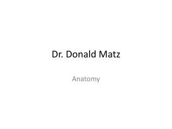 Dr. Donald Matz  Anatomy  Key Symptoms  Pain, severe, and ongoing between shoulder blades and