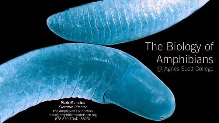 the biology of amphibians