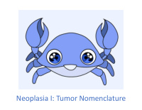neoplasia i tumor nomenclature tumor nomenclature lecture