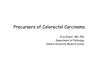 Precursors of Colorectal Carcinoma  Precursors of Colorectal Carcinoma  Arzu Ensari, MD, PhD