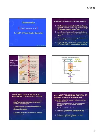 Biochemistry  1.  The food we eat, (carbohydrates/glucose/sugar,  lipids/fat,  proteins), are