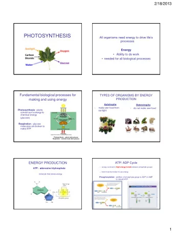 PHOTOSYNTHESIS  All organisms need energy to drive lifes  processes  Energy  Ability to do
