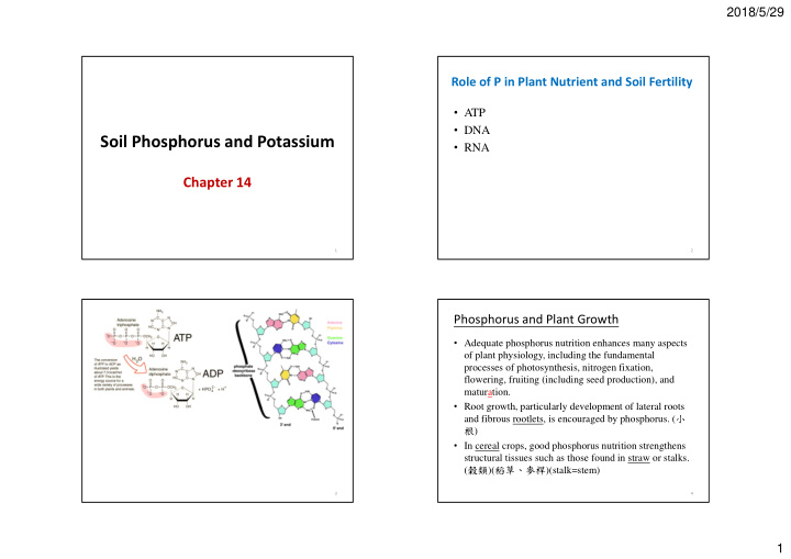 soil phosphorus and potassium