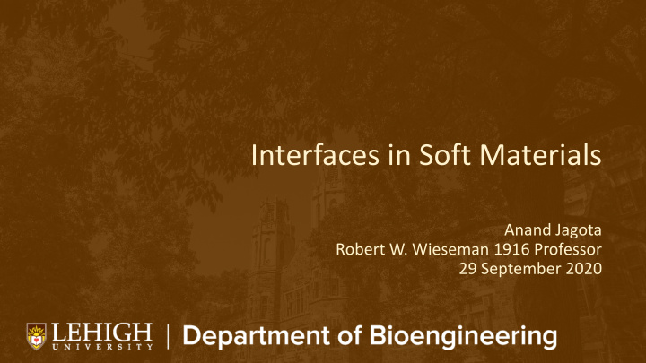 interfaces in soft materials